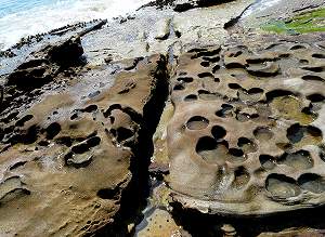 2010092105.jpg