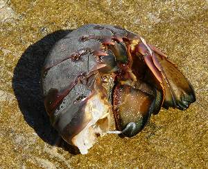 2010092108.jpg