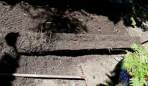 2010111103.jpg