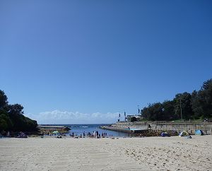 2012011602.jpg
