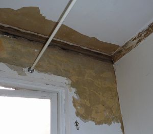 2012073101.jpg