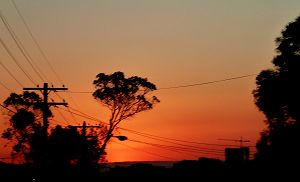 2012090501.jpg