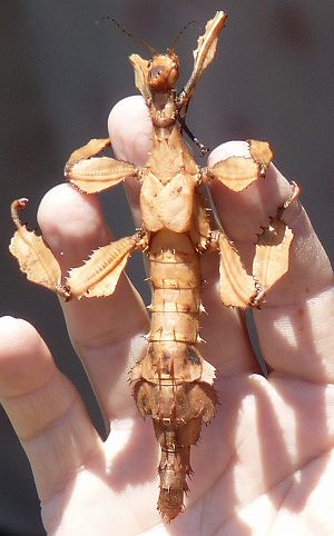 2012091606.jpg