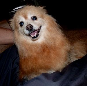2013111701.jpg