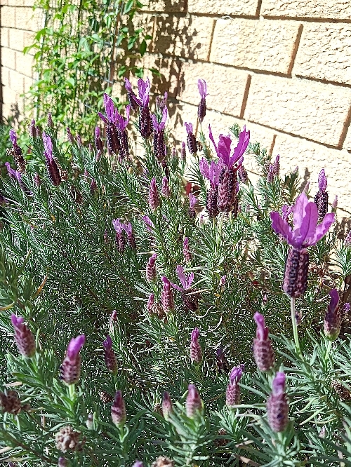 2021.07.27.01s.jpg
